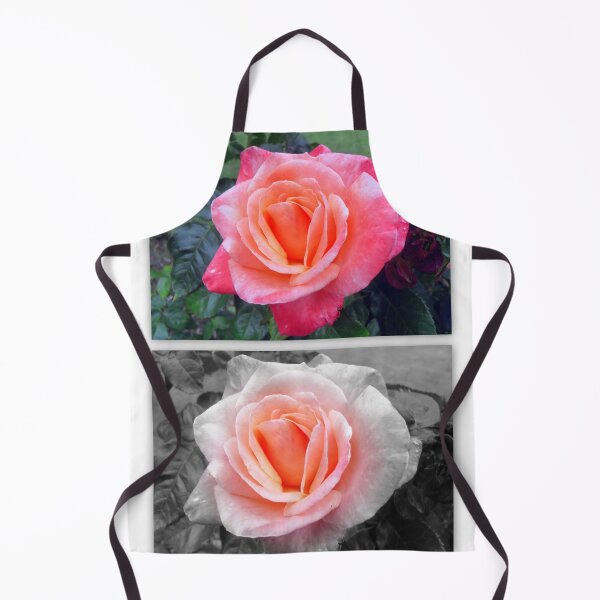 Item preview, Rose Greetings designed and sold by angel1.