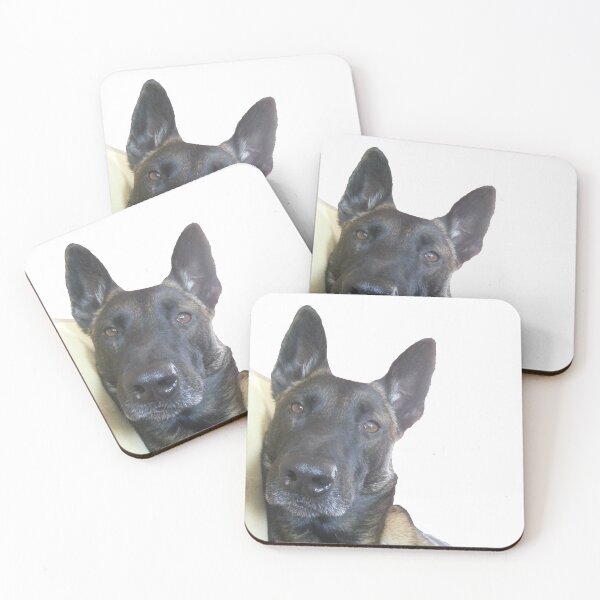 Item preview, Belgian Malinois dog relaxing designed and sold by mikoala50.