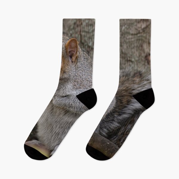 Item preview, Squirrel  designed and sold by craigewmcg123.