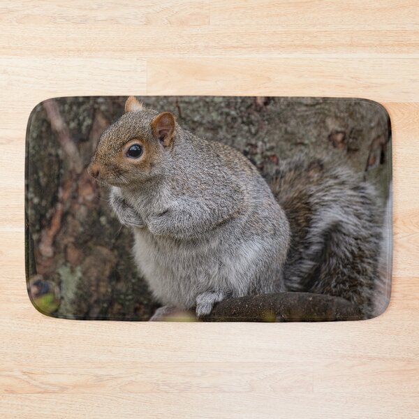Item preview, Squirrel  designed and sold by craigewmcg123.