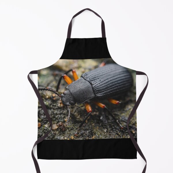 Item preview, Darkling Beetle - Tenebrionidae designed and sold by AronsTinySafari.