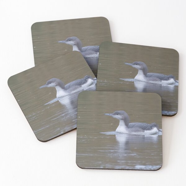 Artikelvorschau, Black Throated Diver entworfen und verkauft von LaurenTucker.