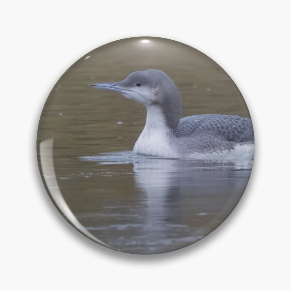 Artikelvorschau, Black Throated Diver entworfen und verkauft von LaurenTucker.