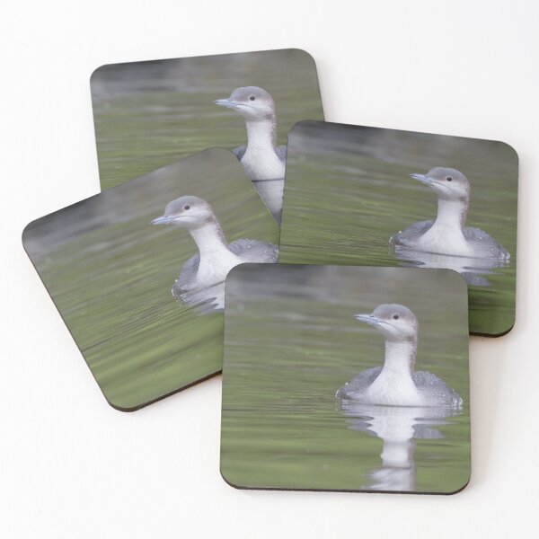 Artikelvorschau, Black Throated Diver entworfen und verkauft von LaurenTucker.