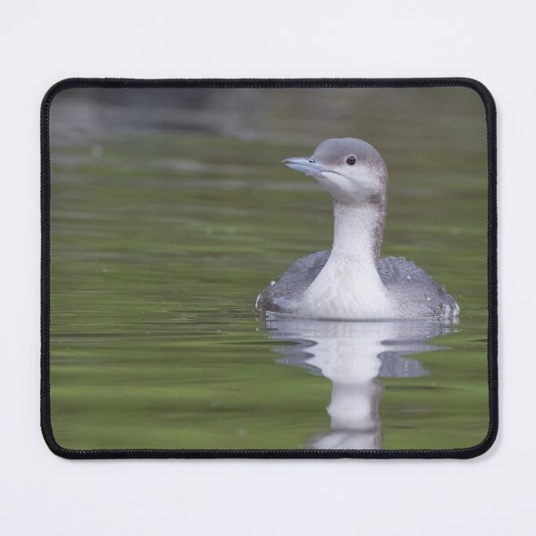 Item preview, Black Throated Diver designed and sold by LaurenTucker.