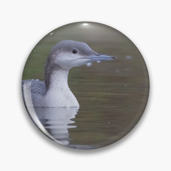 Artikelvorschau, Black Throated Diver entworfen und verkauft von LaurenTucker.