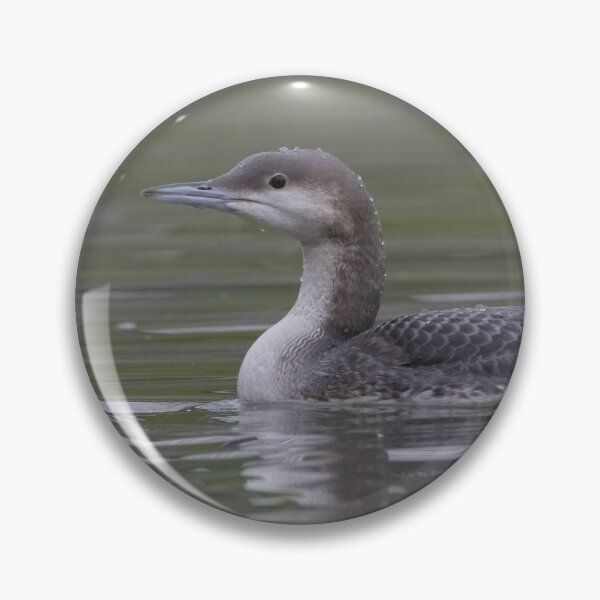 Artikelvorschau, Black Throated Diver entworfen und verkauft von LaurenTucker.