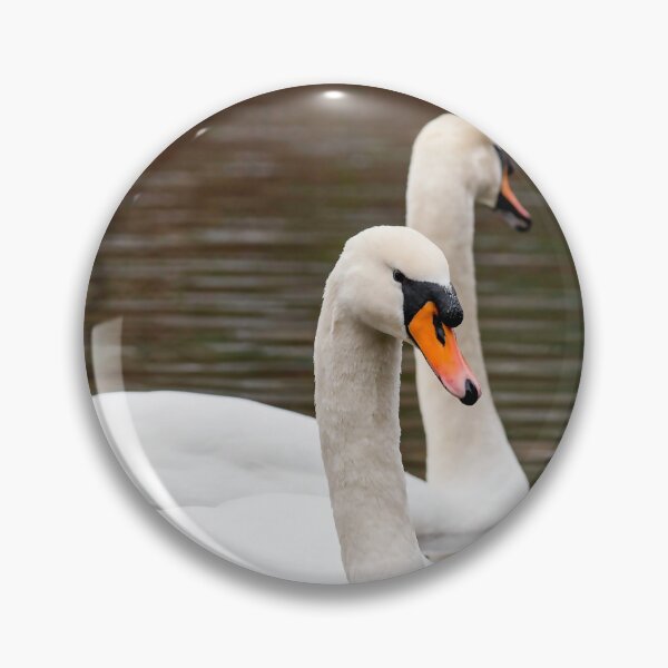 Item preview, Swans posters art prints t-shirts phone cases mugs etc designed and sold by craigewmcg123.