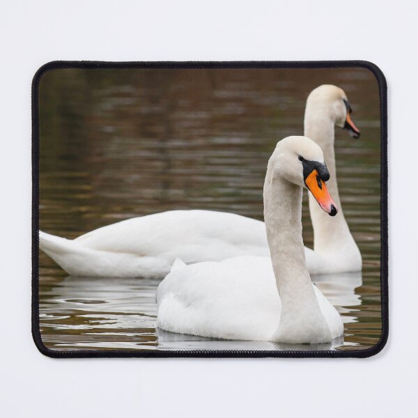 Item preview, Swans posters art prints t-shirts phone cases mugs etc designed and sold by craigewmcg123.