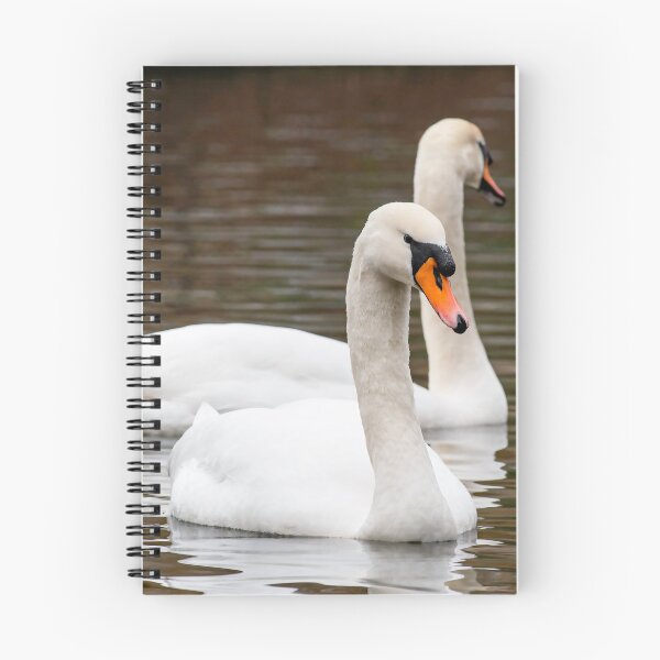 Item preview, Swans posters art prints t-shirts phone cases mugs etc designed and sold by craigewmcg123.