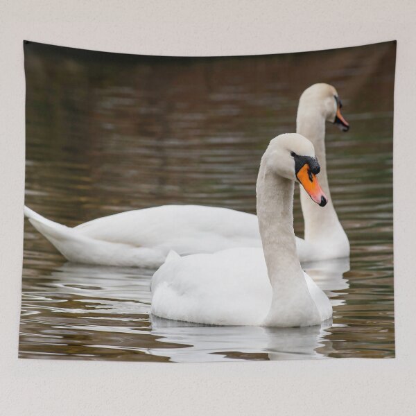 Item preview, Swans posters art prints t-shirts phone cases mugs etc designed and sold by craigewmcg123.