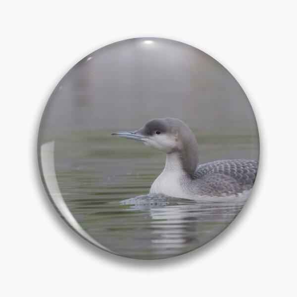 Item preview, Black Throated Diver designed and sold by LaurenTucker.