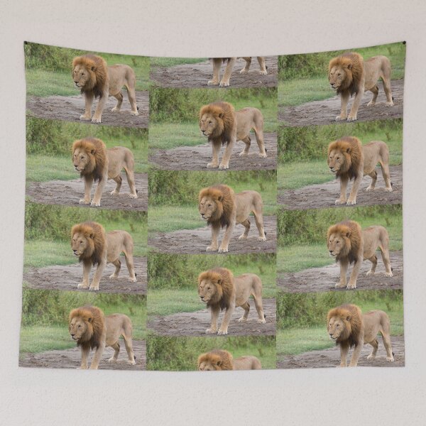 Item preview, Adult Masai Lion (Panthera leo massaica) designed and sold by Yair Karelic.