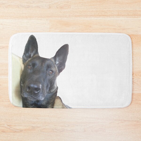 Item preview, Belgian Malinois dog relaxing designed and sold by mikoala50.