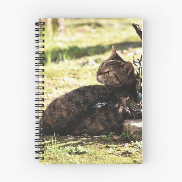 Item preview, Rambo designed and sold by Nerone.