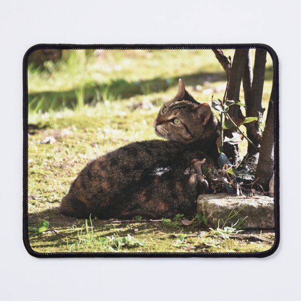 Item preview, Rambo designed and sold by Nerone.