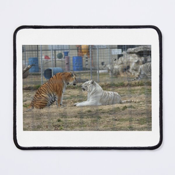 Item preview, Tigers designed and sold by MarieDarcy97.