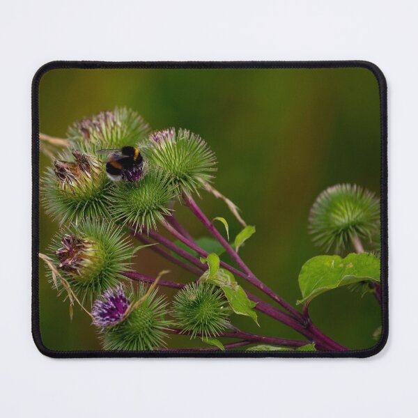 Item preview, nature posters art prints t-shirts phone cases mugs etc designed and sold by craigewmcg123.