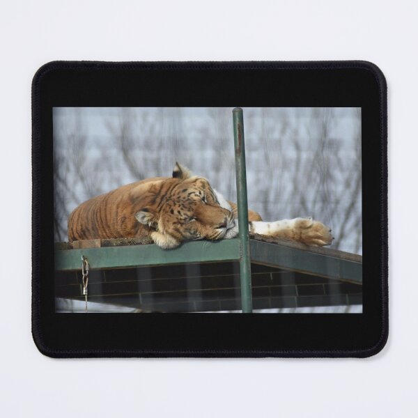 Item preview, Liger  designed and sold by MarieDarcy97.