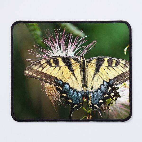 Item preview, Butterfly in Nature designed and sold by Everett Spruill.