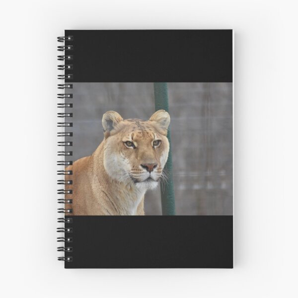 Item preview, Liger  designed and sold by MarieDarcy97.