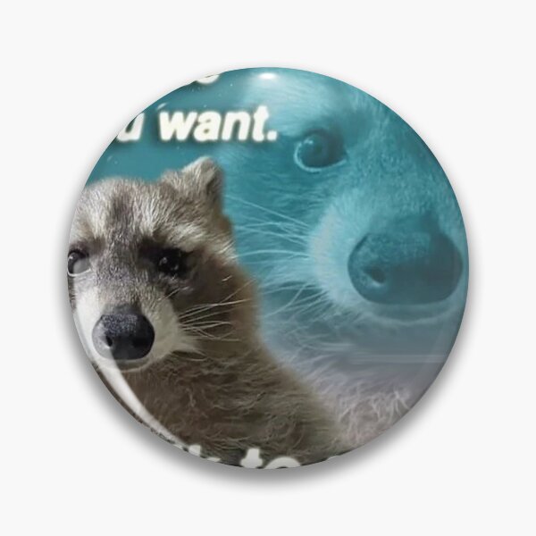 Item preview, Racoon Meme, I'll talk to myself i'm Insane designed and sold by Greg Heffley.