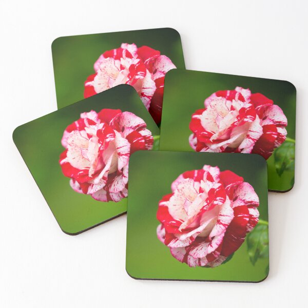 Item preview, flower posters art prints t-shirts phone cases mugs etc designed and sold by craigewmcg123.