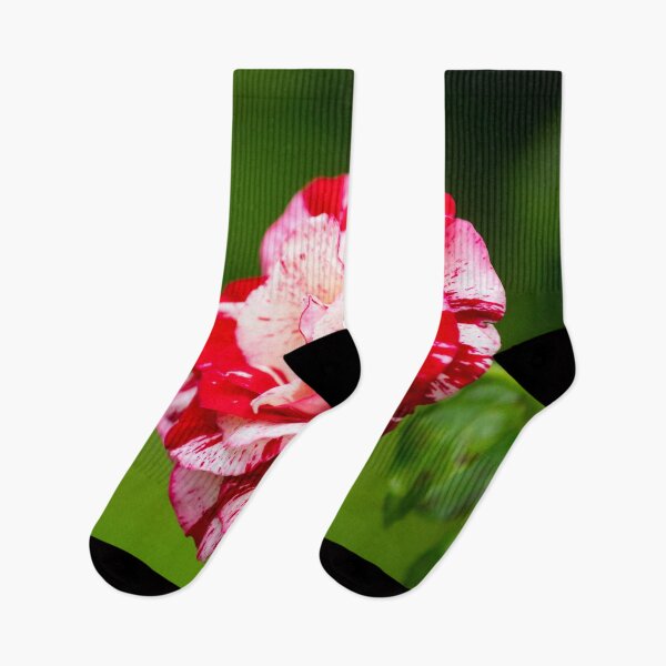 Item preview, flower posters art prints t-shirts phone cases mugs etc designed and sold by craigewmcg123.