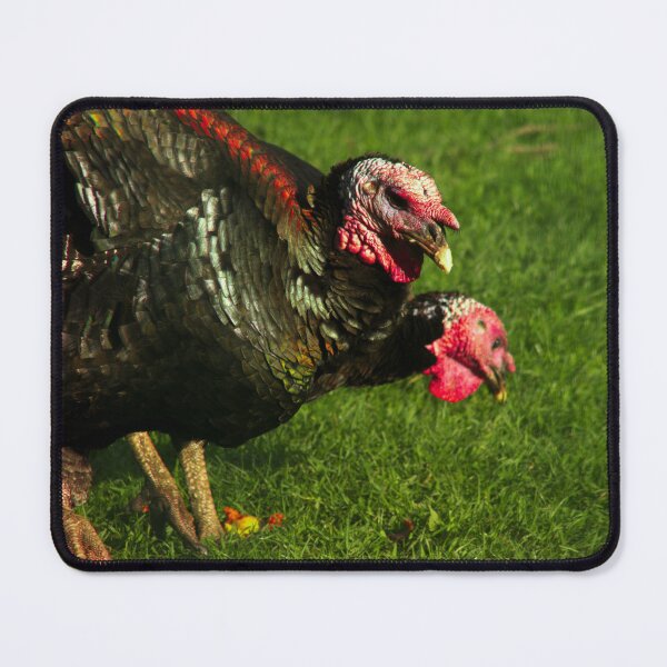 Item preview, turkeys designed and sold by Francespoppy.