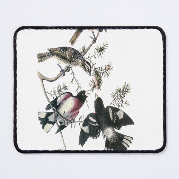 Item preview, Audubon Rose Breasted Grosbeak designed and sold by nanengen2.