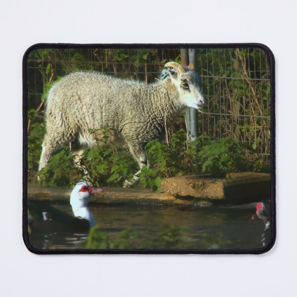 Item preview, sheep and ducks designed and sold by Francespoppy.
