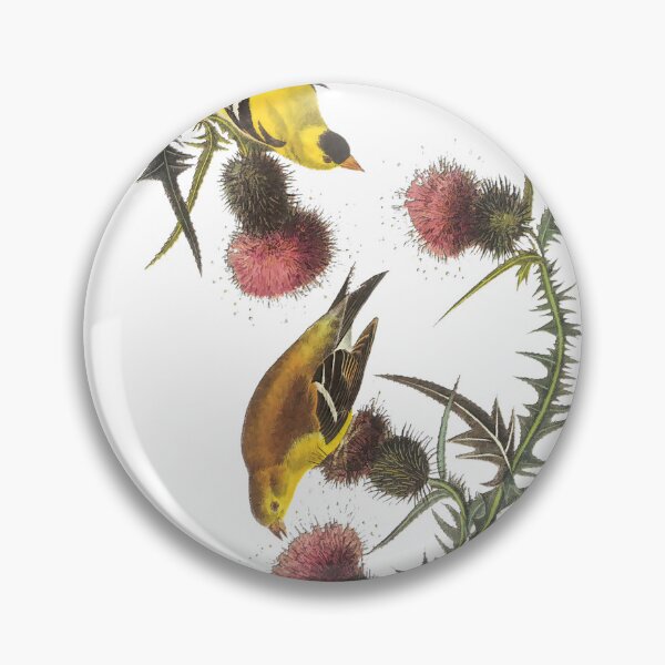 Item preview, Audubon Goldfinches Print designed and sold by nanengen2.