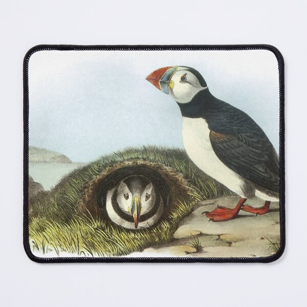 Item preview, Audubon Atlantic Puffins designed and sold by nanengen2.