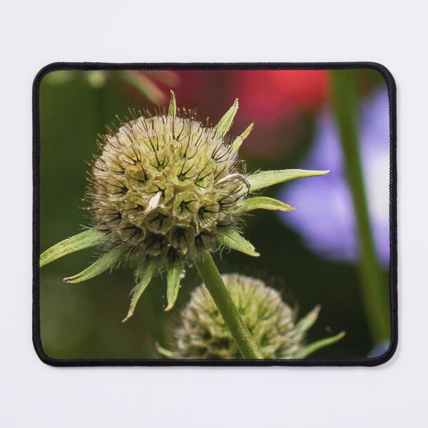Item preview, flower posters art prints t-shirts phone cases mugs etc designed and sold by craigewmcg123.