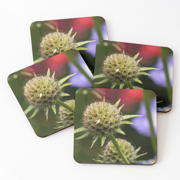 Item preview, flower posters art prints t-shirts phone cases mugs etc designed and sold by craigewmcg123.