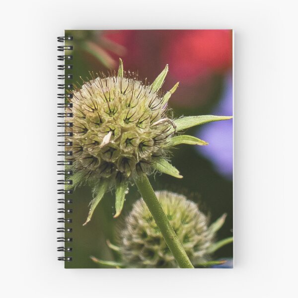Item preview, flower posters art prints t-shirts phone cases mugs etc designed and sold by craigewmcg123.