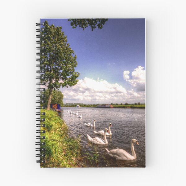 Item preview, Swanny River designed and sold by hawkie.