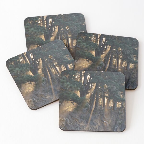Item preview, fog streams designed and sold by Coastwind Photography.