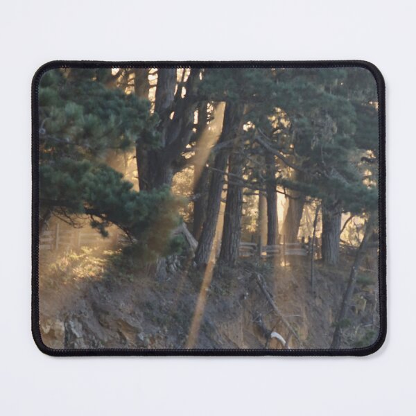 Item preview, fog streams designed and sold by Coastwind Photography.