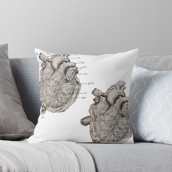Item preview, Diagrama de anatomía del corazón designed and sold by Aliensknowme.