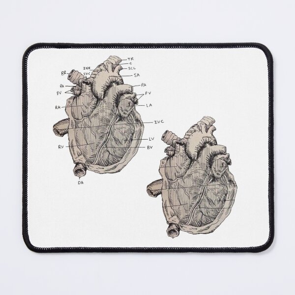 Item preview, Heart Anatomy Diagram designed and sold by Aliensknowme.