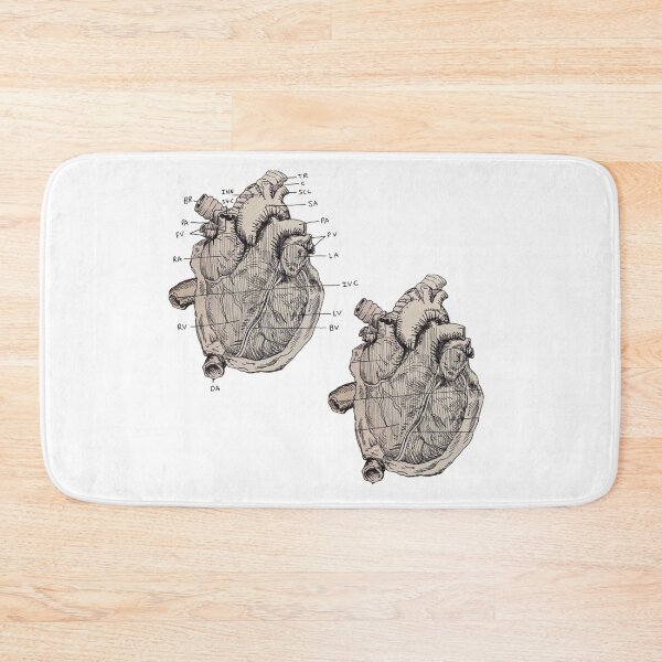 Item preview, Heart Anatomy Diagram designed and sold by Aliensknowme.