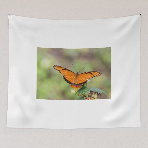 Item preview, Julia butterfly designed and sold by pietrofoto.