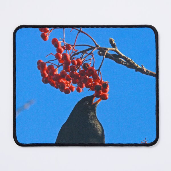 Item preview, Birds and berries designed and sold by Ribster13.