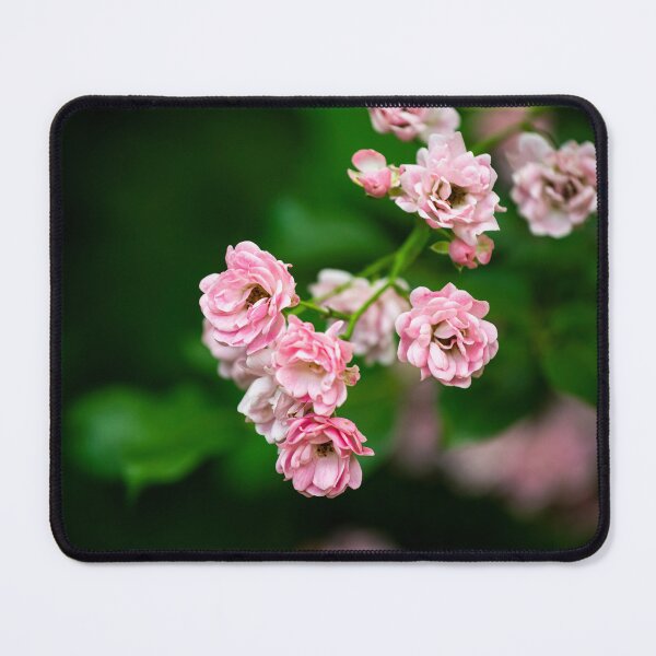 Item preview, flower posters art prints t-shirts phone cases mugs etc designed and sold by craigewmcg123.