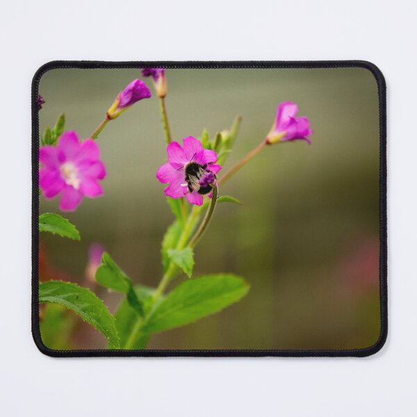 Item preview, flower posters art prints t-shirts phone cases mugs etc designed and sold by craigewmcg123.