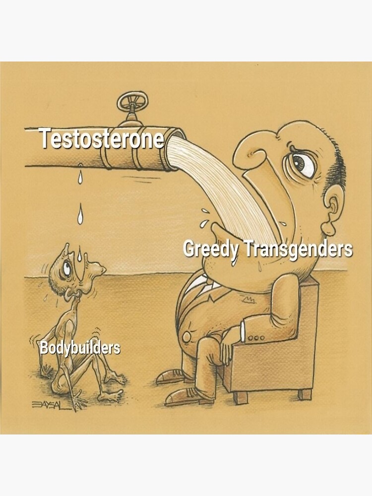 "testosterone, transgenders and bodybuilders meme" Sticker for Sale by
