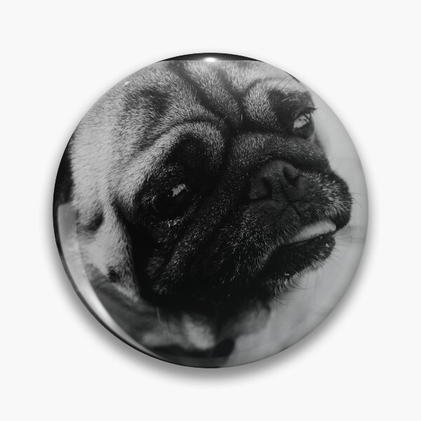 Item preview, Pug Dawg designed and sold by How67.