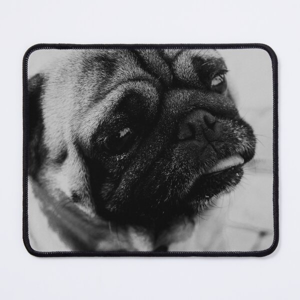 Item preview, Pug Dawg designed and sold by How67.