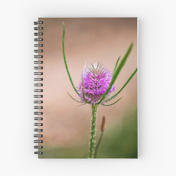 Item preview, flower posters art prints t-shirts phone cases mugs etc designed and sold by craigewmcg123.